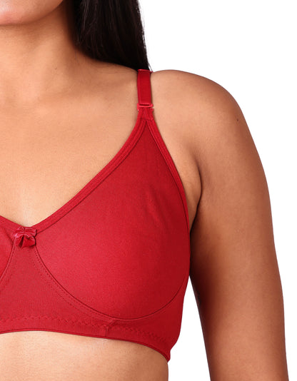 CloudSoft Daily Wear Bra