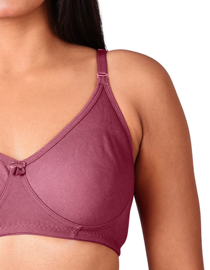 CloudSoft Daily Wear Bra