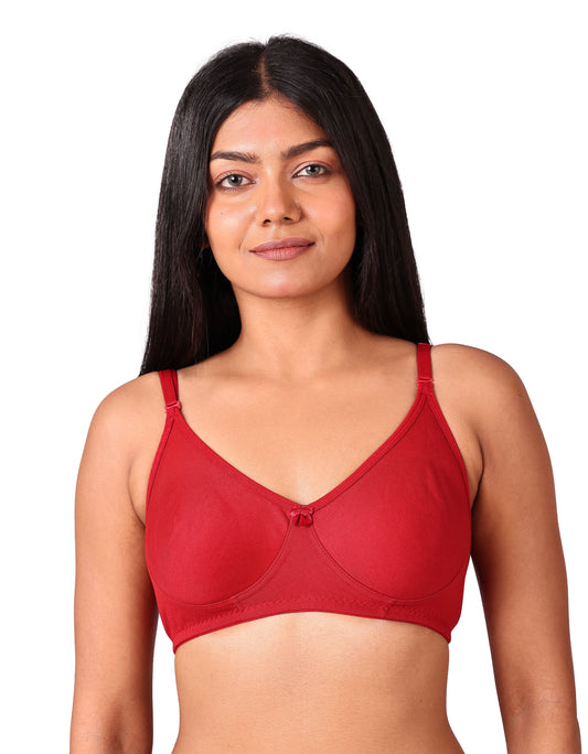CloudSoft Daily Wear Bra