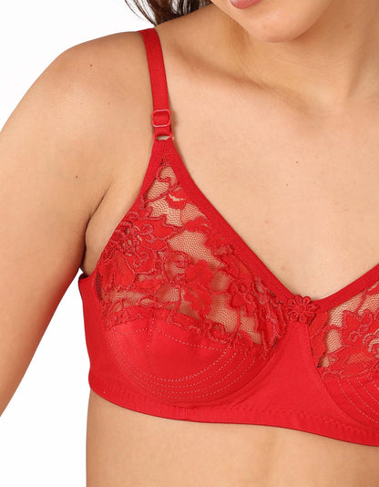 Lace Touch Everyday Bra