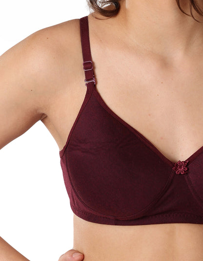 Gentle Shaping Support